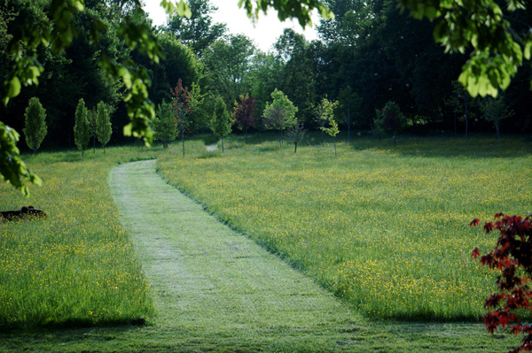 Rural gite near Toulouse